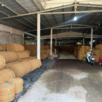 SẢN XUẤT DỆT THẢM XƠ DỪA