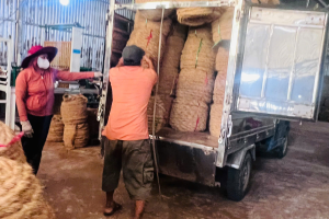 Nghề làm chỉ xơ dừa tại Bến Tre